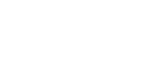 Brushia